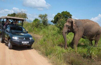 Udawalawa National Park, Sri Lanka, Mahoora Safari Camping site, Elephant Trekking