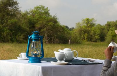 Wilpattu National Park, Wilpattu, Sri Lanka, Mahoora Safari Camp