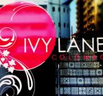 Ivy Lane Colombo Galle Road, hotel, affordable accommodation