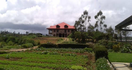 Forest Glen, Real Estate, Property, Nuwara Eliya