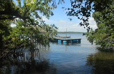 Salute59, River View, Lake, Madu River, Boat Safari,